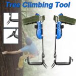 Tree climbing shoe