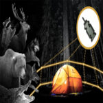 Camping Trip Line Alarm