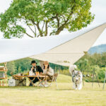 Outdoor Rainproof Awning